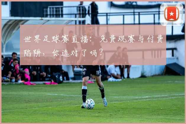 世界足球赛直播：免费观赛与付费陷阱，你选对了吗？