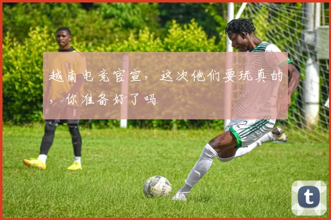 越南电竞官宣，这次他们要玩真的，你准备好了吗
